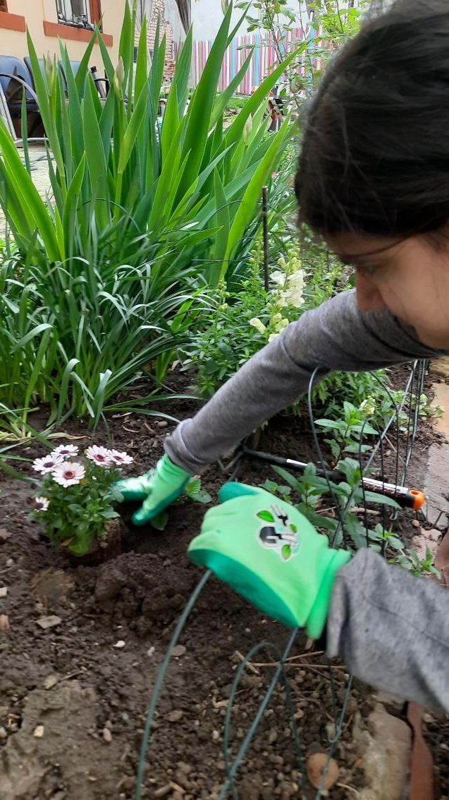 Grădina senzorială imagine 4