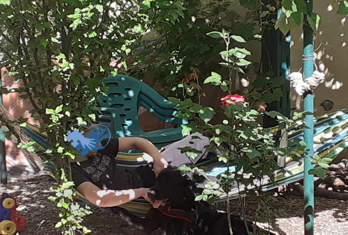 Grădina senzorială imagine 6