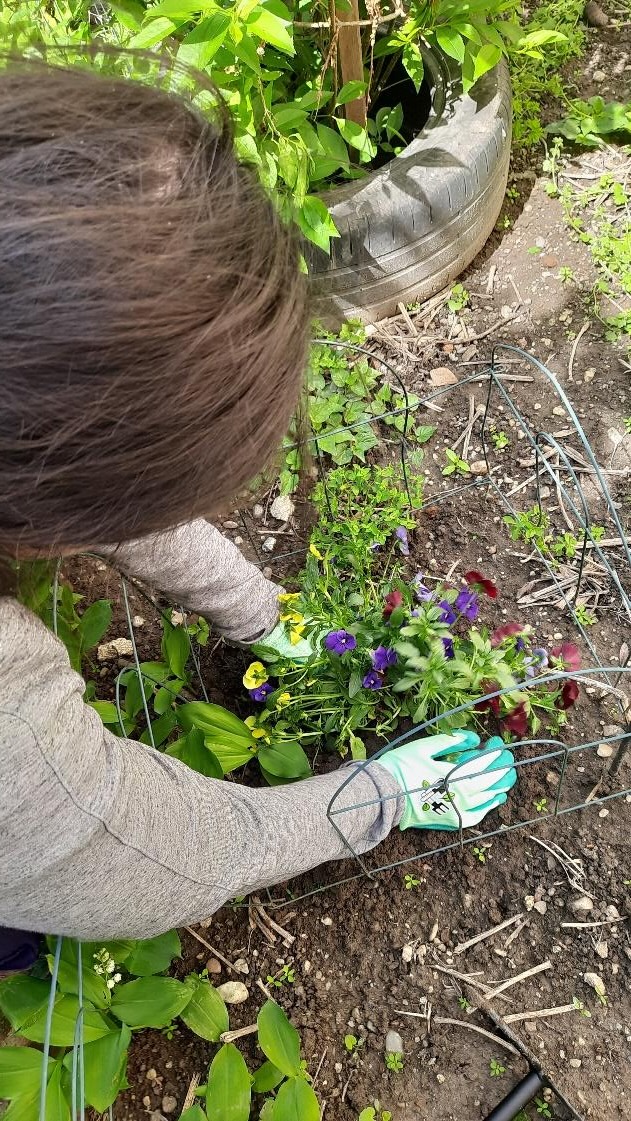 Grădina senzorială imagine 7