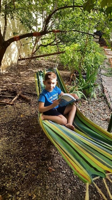 Grădina senzorială imagine 8