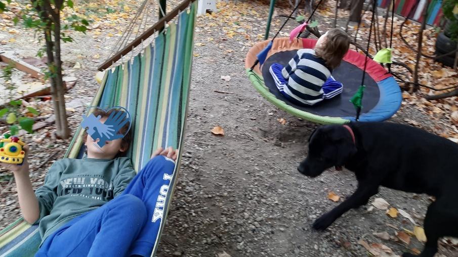 Grădina senzorială imagine 11