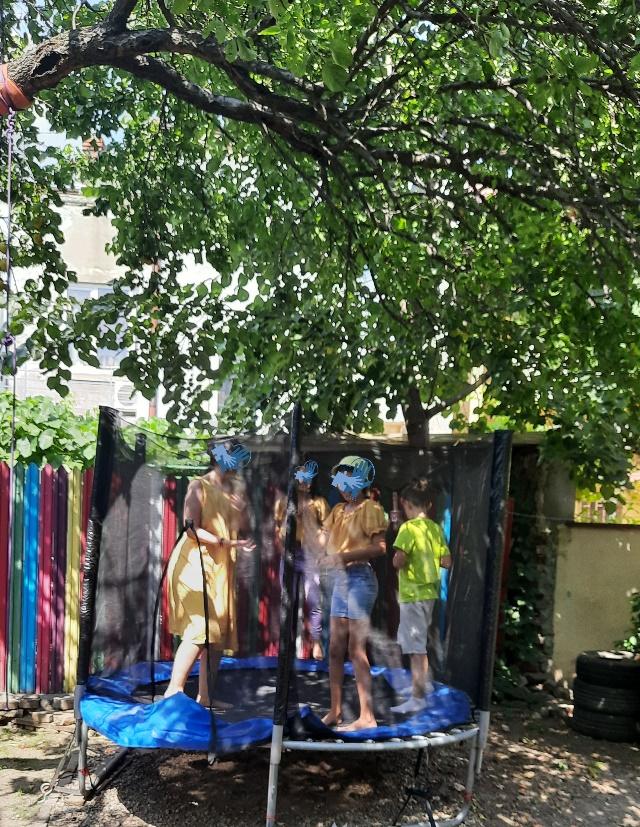 Grădina senzorială imagine 13