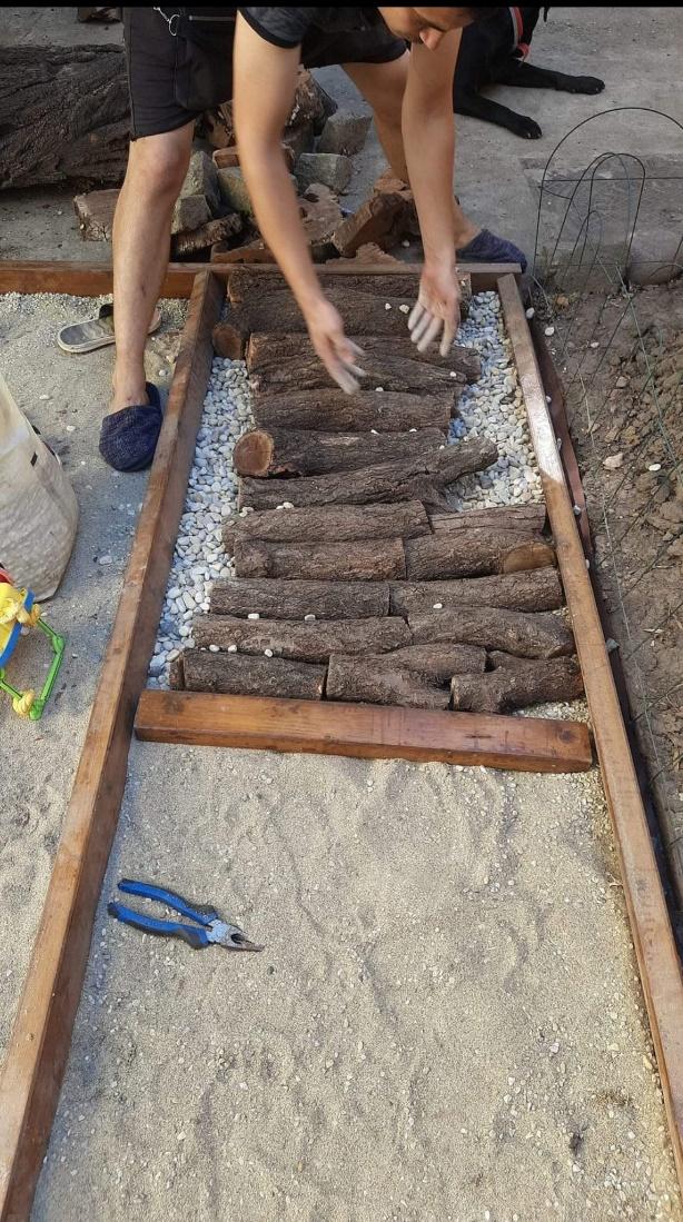 Grădina senzorială imagine 19