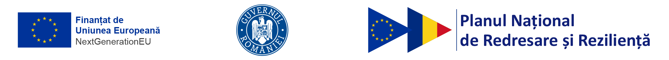 NextGenerationEu, Guvernul României, Planul Național de Redresare și Reziliență